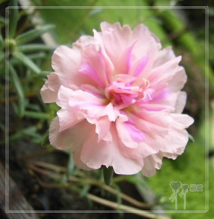 ɶ��û�У�ֻɹ����̫������