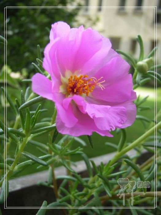 ɶ��û�У�ֻɹ����̫������