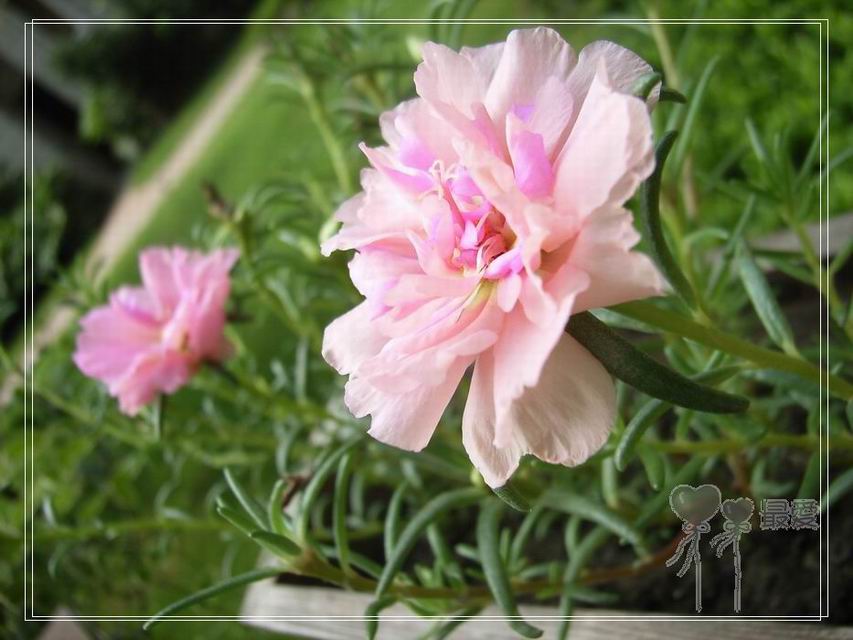 ɶ��û�У�ֻɹ����̫������