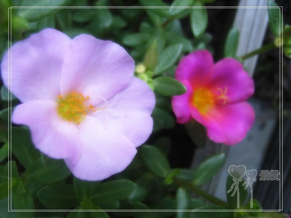 ɶ��û�У�ֻɹ����̫������