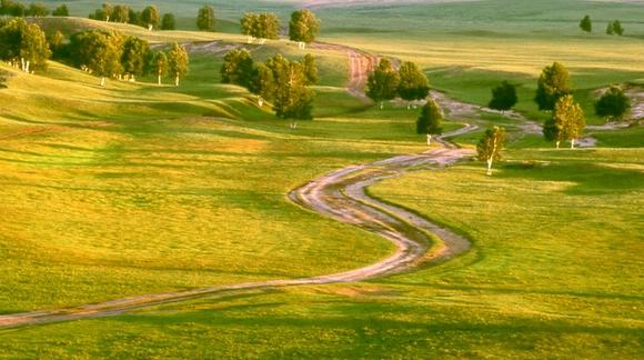 ���Ϸ�� ����szhgfox