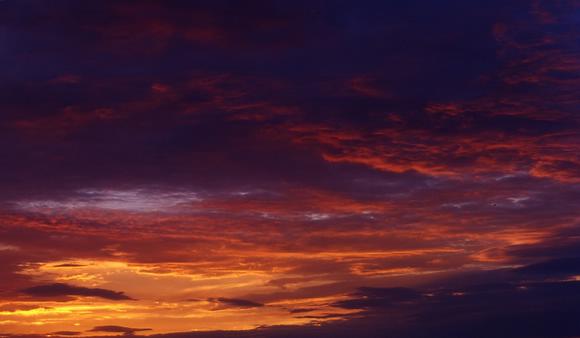 ���Ϸ�� ����szhgfox