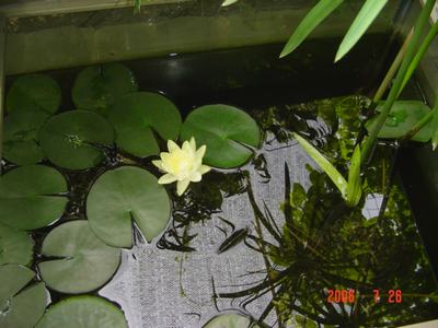 ���ĵĻ�(7ҳ����)