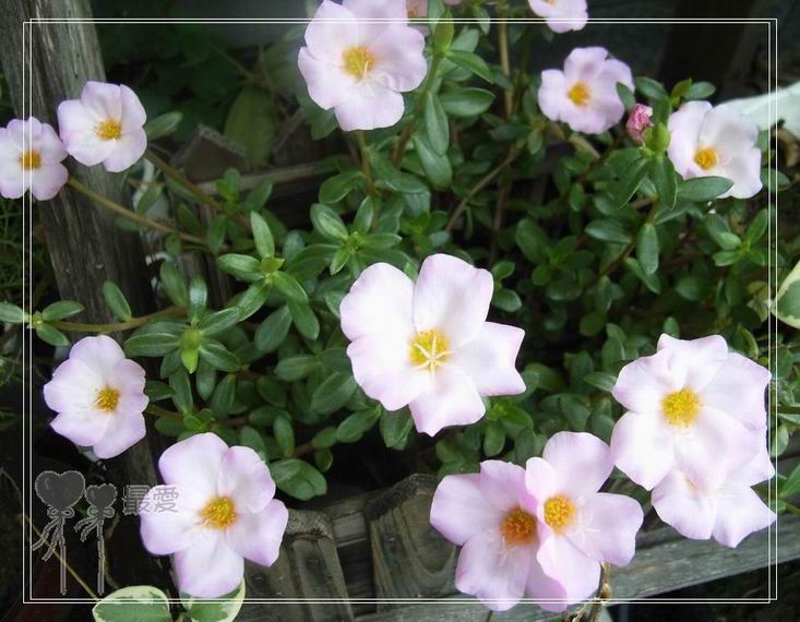 ɶ��û�У�ֻɹ����̫������