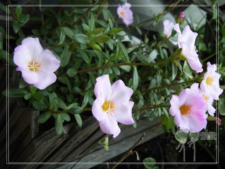 ɶ��û�У�ֻɹ����̫������