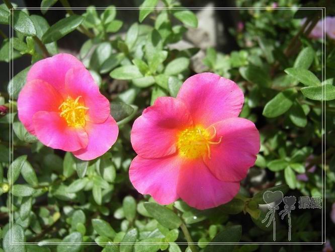 ɶ��û�У�ֻɹ����̫������