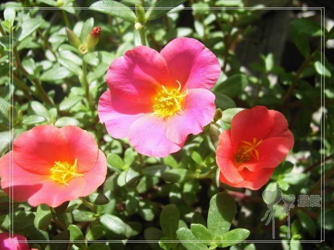 ɶ��û�У�ֻɹ����̫������