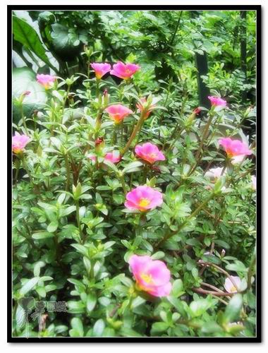 ɶ��û�У�ֻɹ����̫������