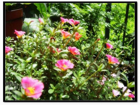 ɶ��û�У�ֻɹ����̫������