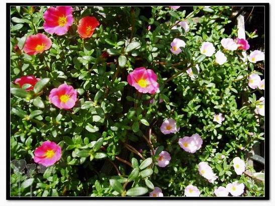 ɶ��û�У�ֻɹ����̫������