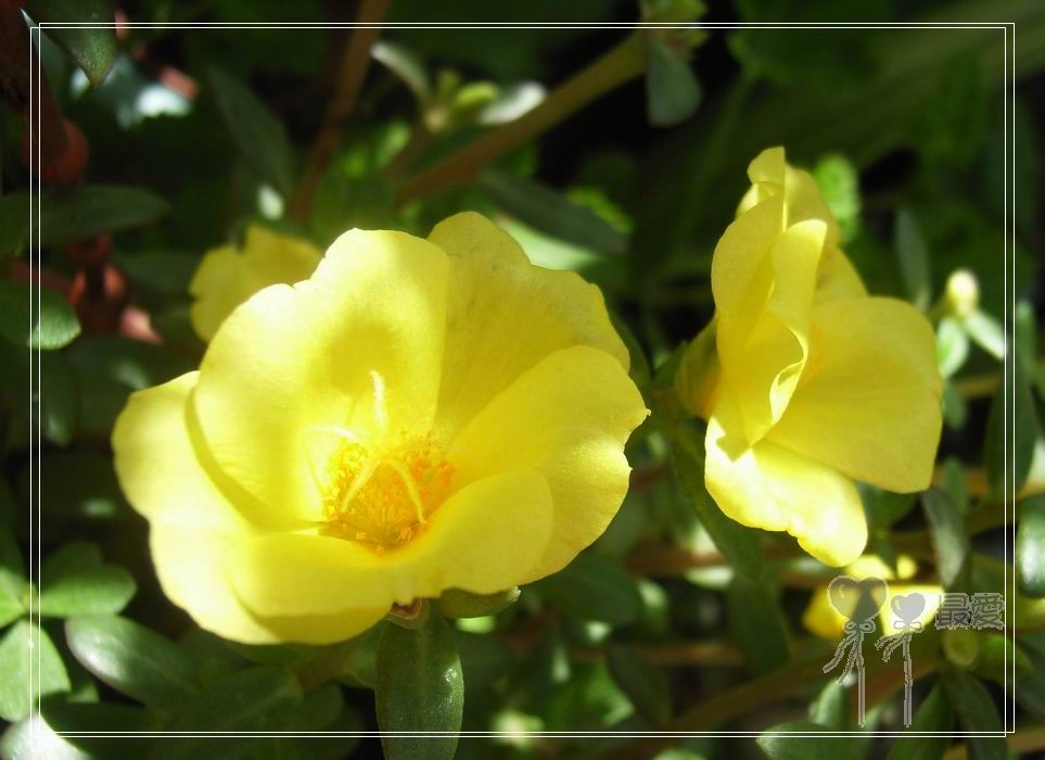 ɶ��û�У�ֻɹ����̫������