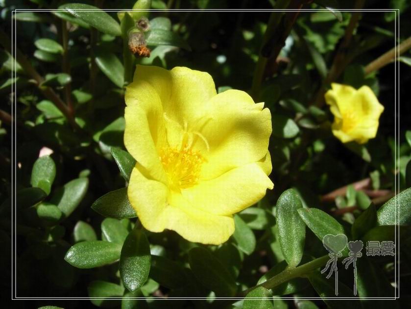 ɶ��û�У�ֻɹ����̫������