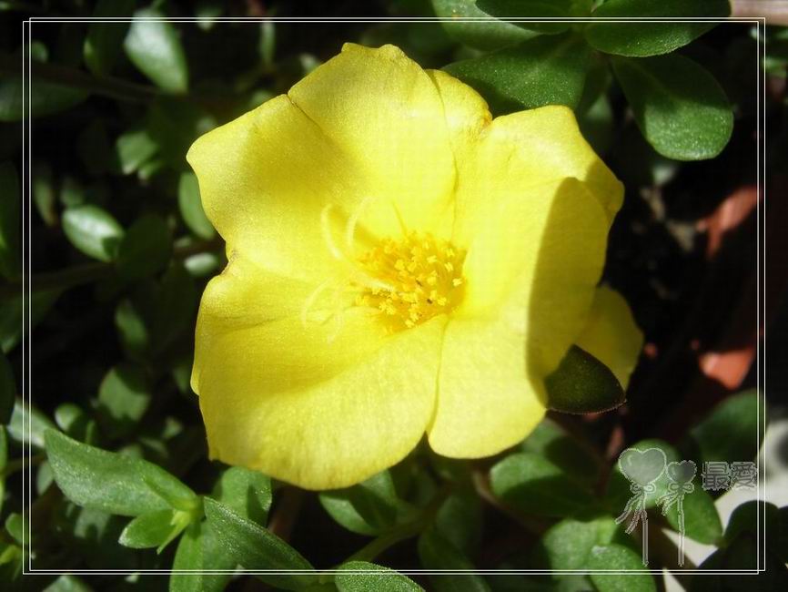 ɶ��û�У�ֻɹ����̫������