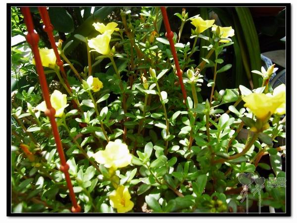 ɶ��û�У�ֻɹ����̫������