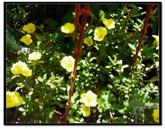 ɶ��û�У�ֻɹ����̫������