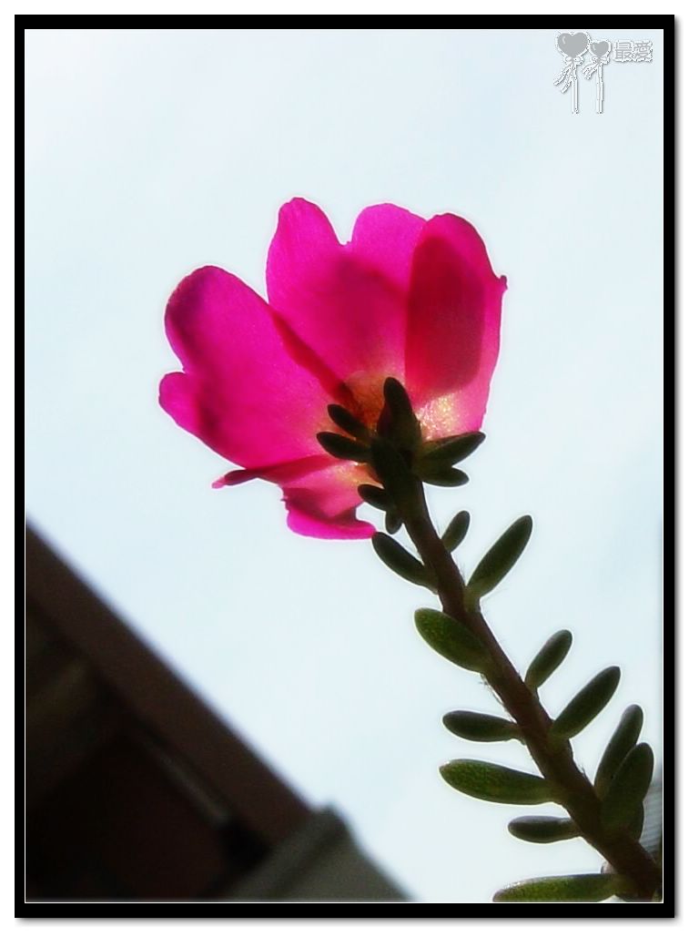 ɶ��û�У�ֻɹ����̫������