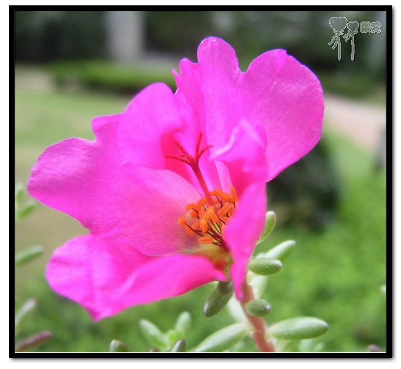 ɶ��û�У�ֻɹ����̫������