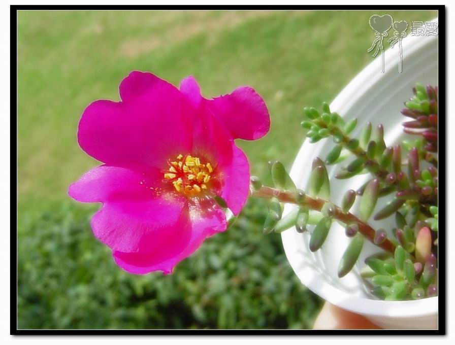 ɶ��û�У�ֻɹ����̫������