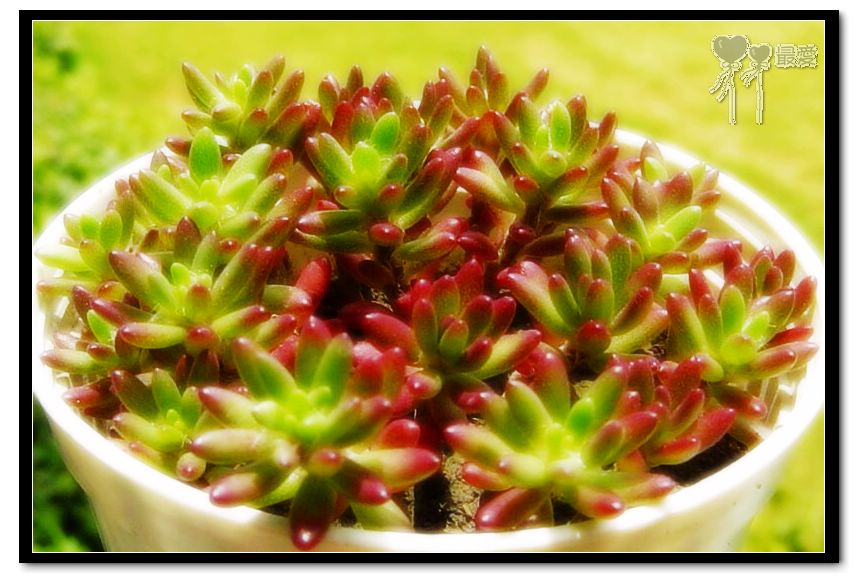 ɶ��û�У�ֻɹ����̫������