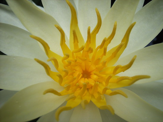 7��23��  ��ɫ��¬��  P23  ����   *-*����Ļ�԰*-*