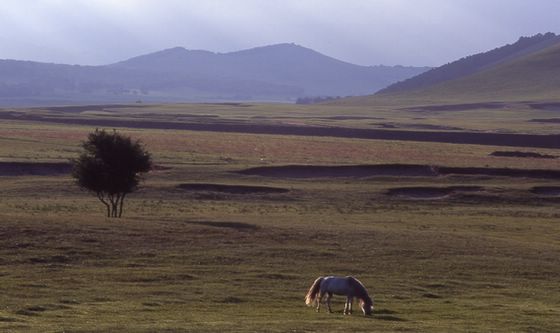 ���Ϸ�� ����szhgfox(δ�����)