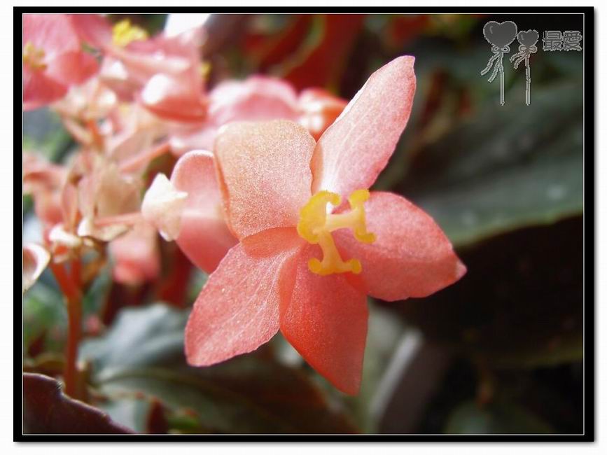 �ҵļ��ֺ���