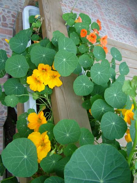 ż�Ļ���ż��Ժ��