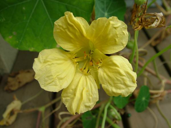 ż�Ļ���ż��Ժ��