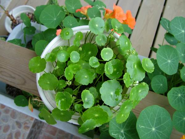 ż�Ļ���ż��Ժ��