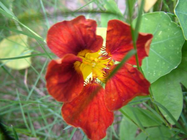 ż�Ļ���ż��Ժ��