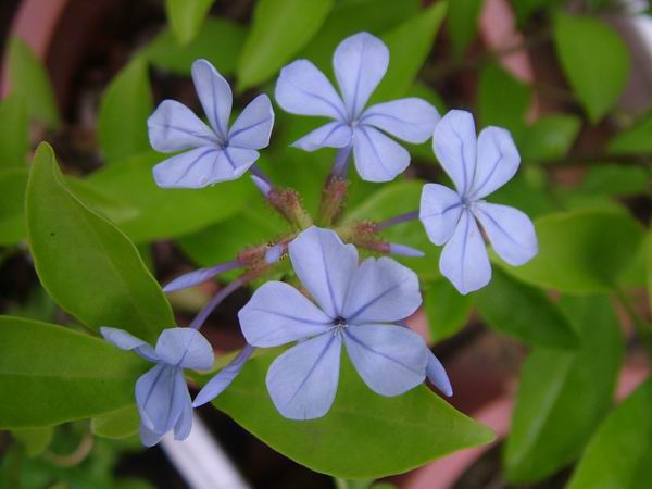 ż�Ļ���ż��Ժ��