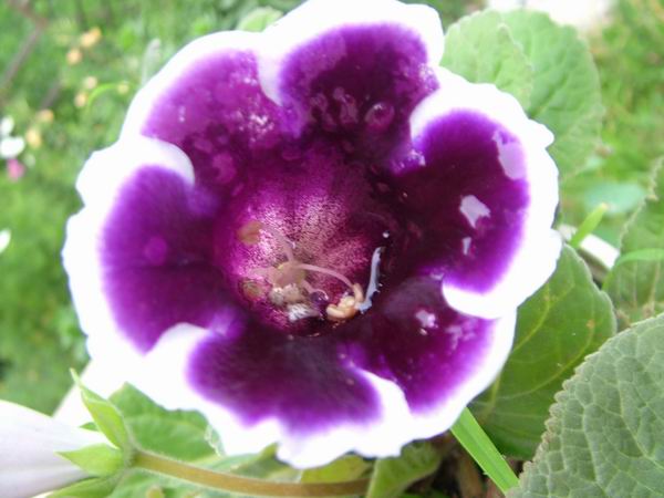 ż�Ļ���ż��Ժ��