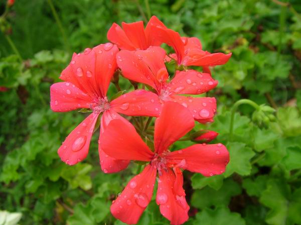 ż�Ļ���ż��Ժ��