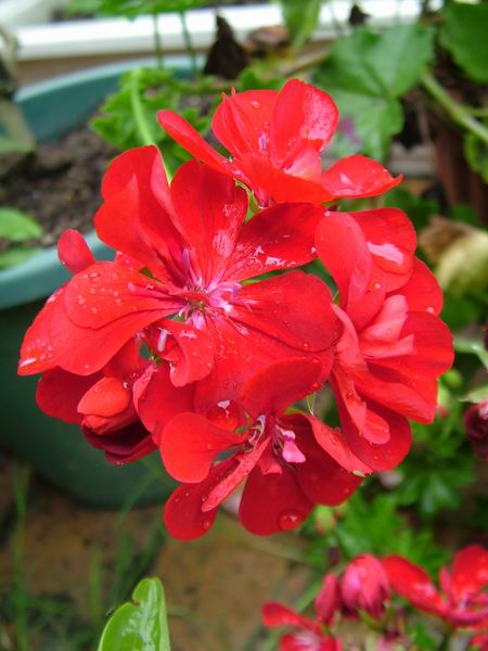 ż�Ļ���ż��Ժ��