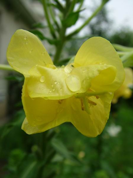 ż�Ļ���ż��Ժ��