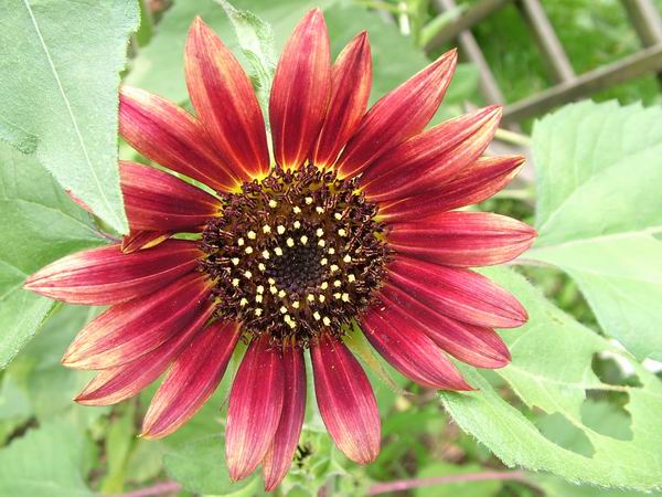 ż�Ļ���ż��Ժ��