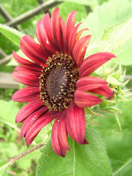 ż�Ļ���ż��Ժ��