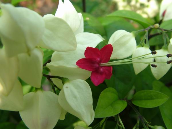 ż�Ļ���ż��Ժ��