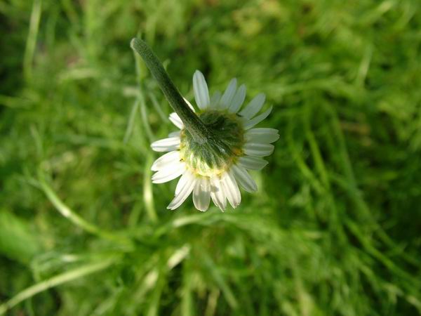 ż�Ļ���ż��Ժ��