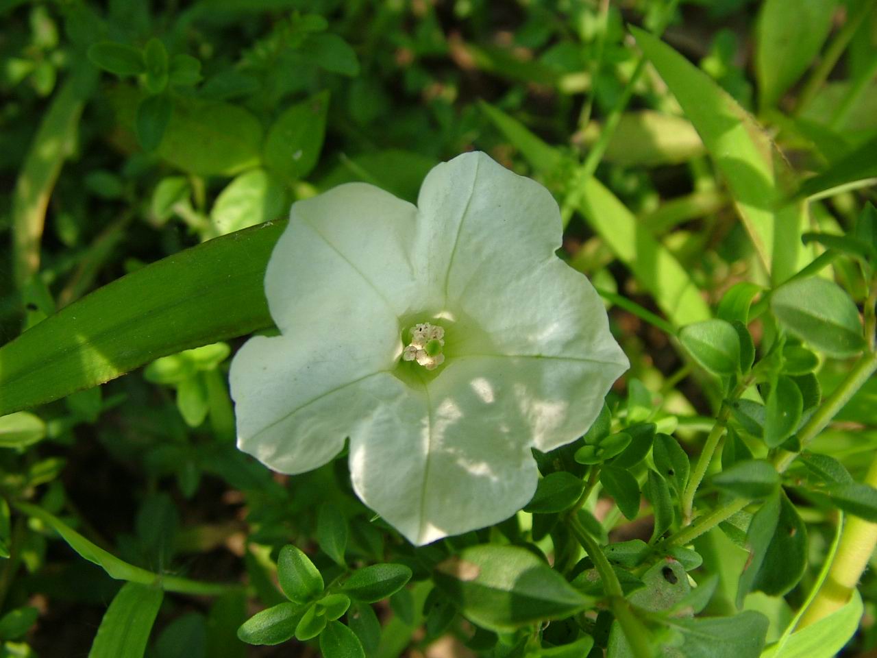 ż�Ļ���ż��Ժ��