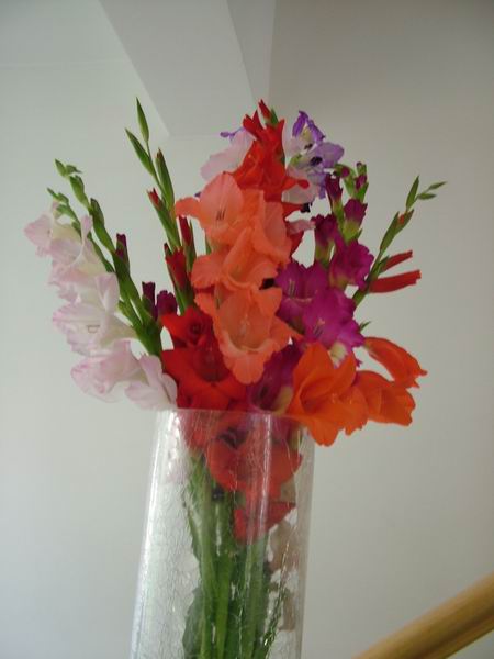 ż�Ļ���ż��Ժ��