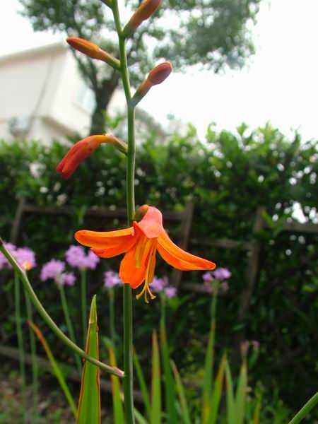 ż�Ļ���ż��Ժ��