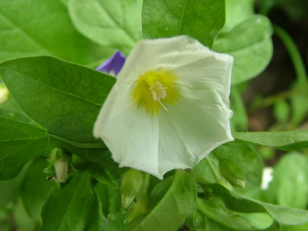 ż�Ļ���ż��Ժ��