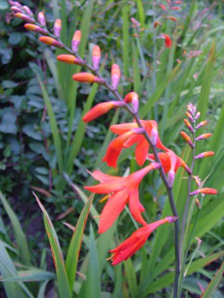 ż�Ļ���ż��Ժ��