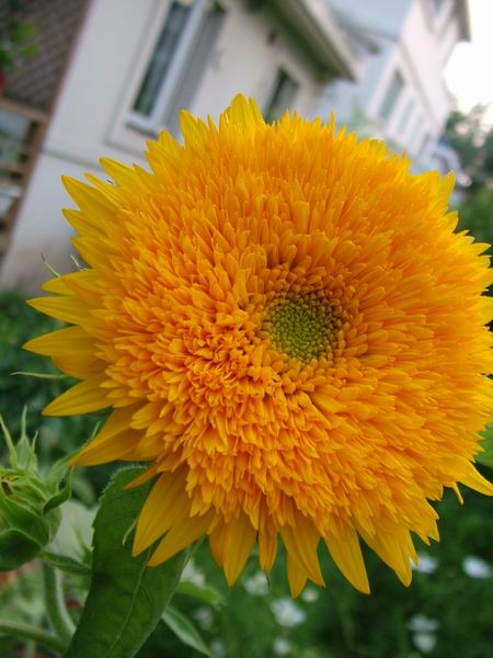 ż�Ļ���ż��Ժ��