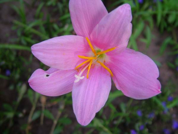 ż�Ļ���ż��Ժ��