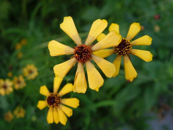 ż�Ļ���ż��Ժ��