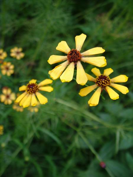 ż�Ļ���ż��Ժ��