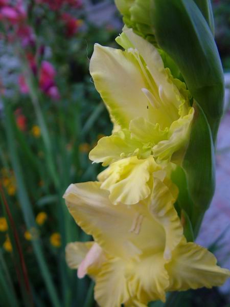 ż�Ļ���ż��Ժ��