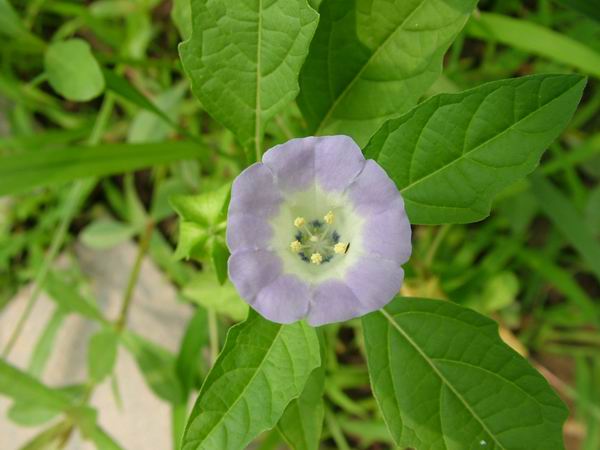 ż�Ļ���ż��Ժ��